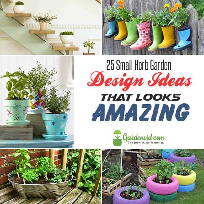 25 Small Herb Garden Design Ideas That Looks Amazing  Gardenoid