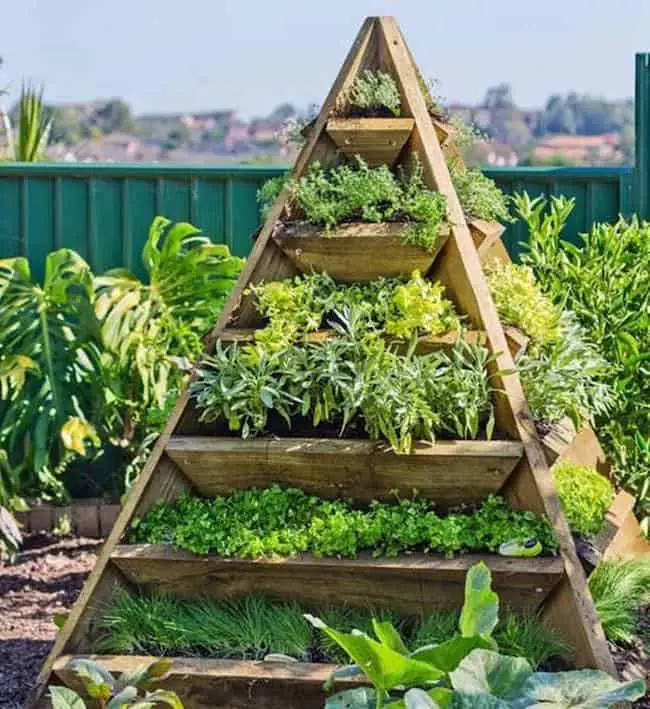 25 Small Herb Garden Design Ideas That Looks Amazing  Gardenoid