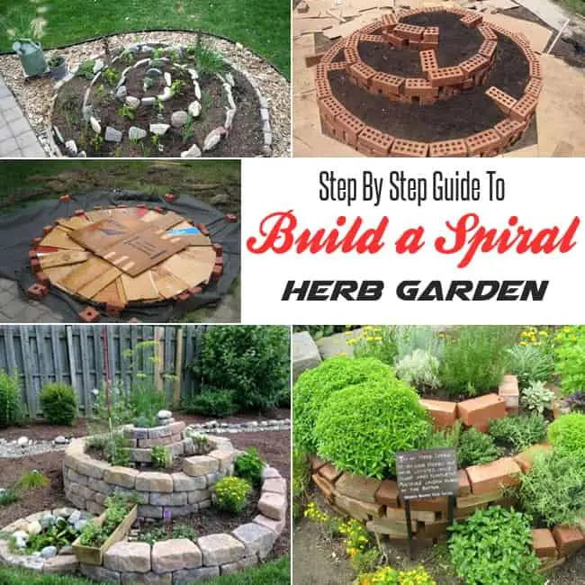 Step By Step Guide to Build a Spiral Herb Garden