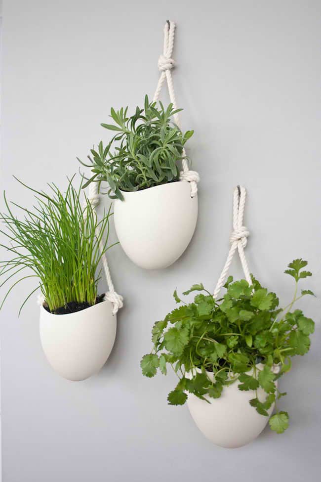 small herb garden design