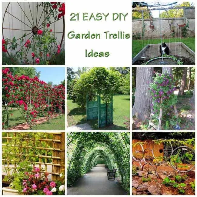 21 Innovative And Easy DIY Garden Trellis Ideas