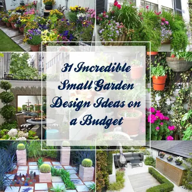 31 Incredible Small Garden Design Ideas on a Budget 31 Incredible Small Garden Design Ideas on a Budget