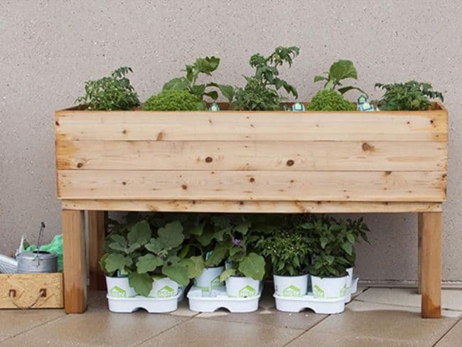 DIY wooden planters