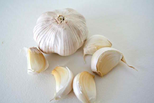 Grow Garlic Indoors