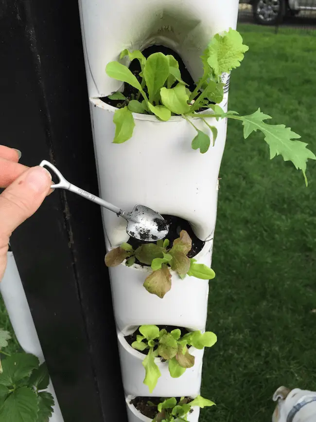 21 Amazing Ideas To Build Your Own Tower Garden | Gardenoid
