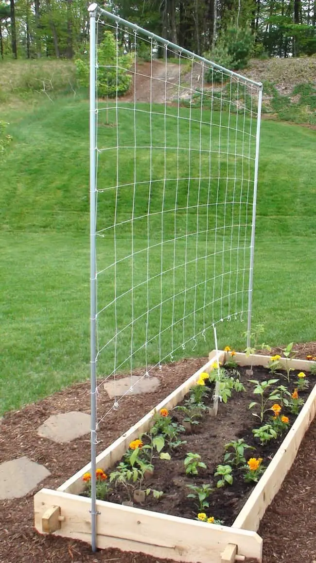 21 Innovative And Easy DIY Garden Trellis Ideas Gardenoid