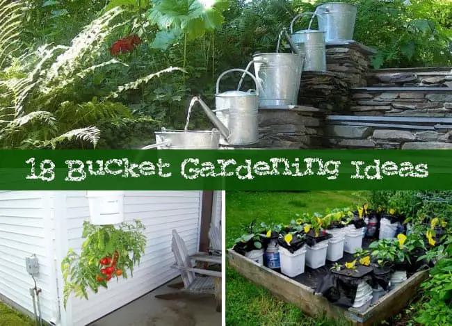 How To Reuse Buckets in Your Garden : 18 Bucket Gardening Ideas