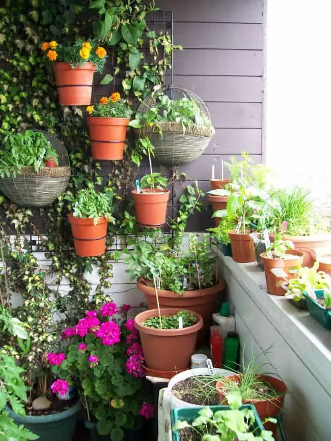 31 Fantastic Wall Planter Ideas For Small Balcony Gardenoid Charming Small Balcony Wall Planter Idea With Pots