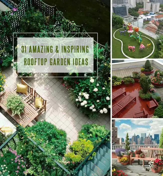 31 Amazing and Inspiring Rooftop Garden Ideas