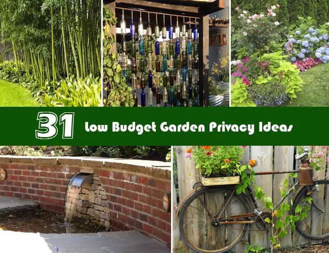 31 Low Budget Garden Privacy Ideas
