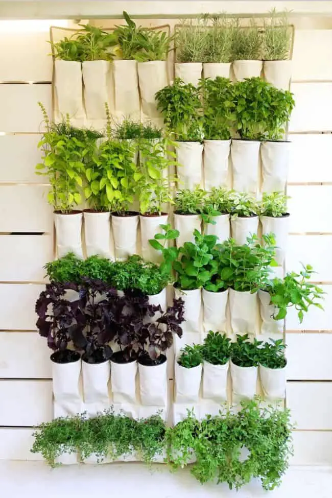 31 Fantastic Wall  Planter  Ideas For Small  Balcony Gardenoid