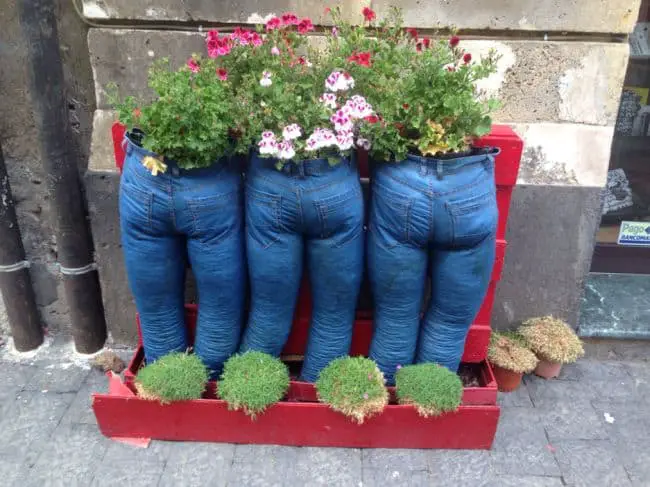 Repurpose Old Jeans  18 DIY Jeans  Uses In The Garden 