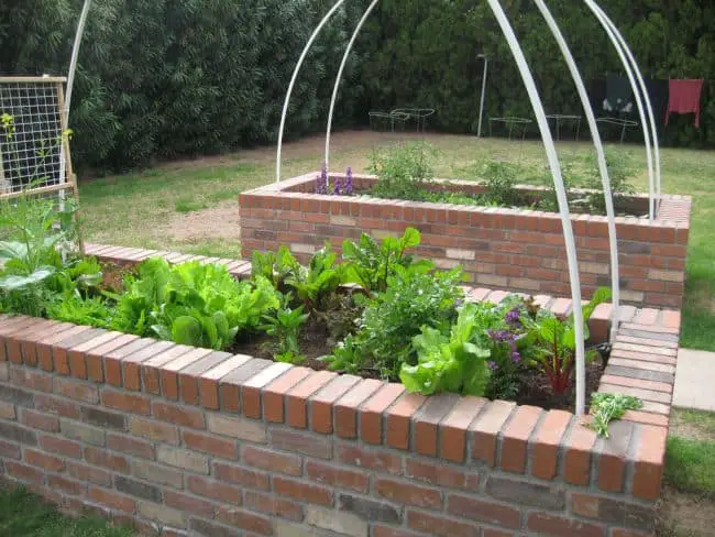 Brick Raised Garden Bed without Mortar