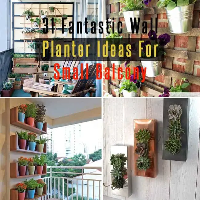 31 Fantastic Small Balcony Wall Planter Ideas