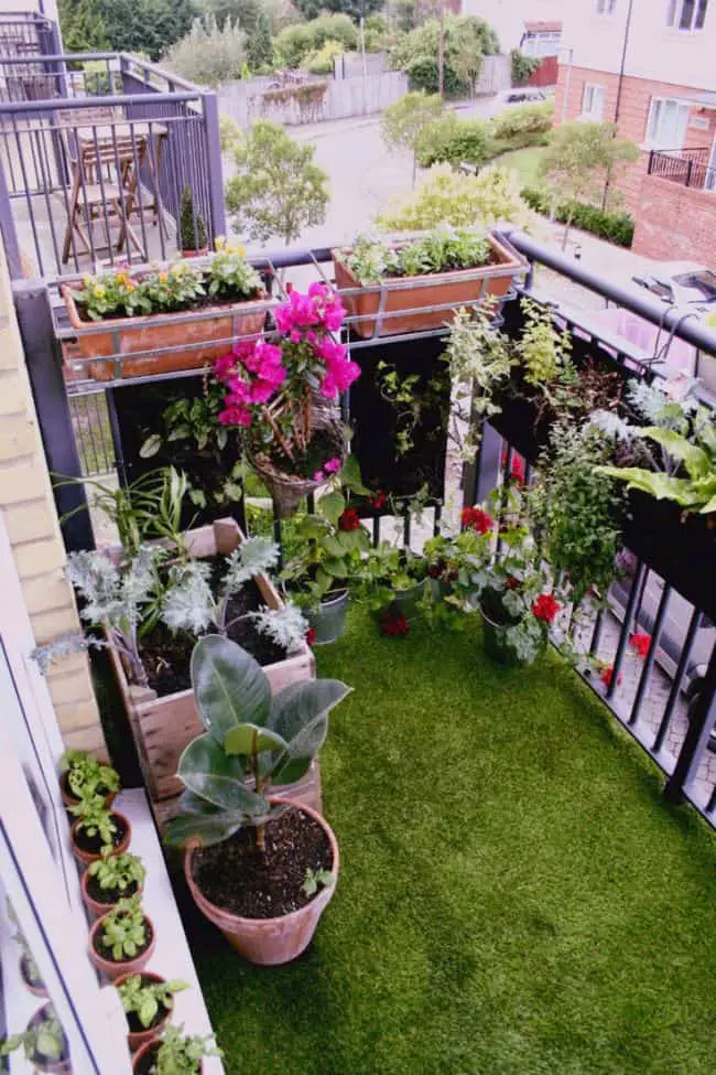 Apartment balcony transformed into a lush garden with potted plants and vertical greenery