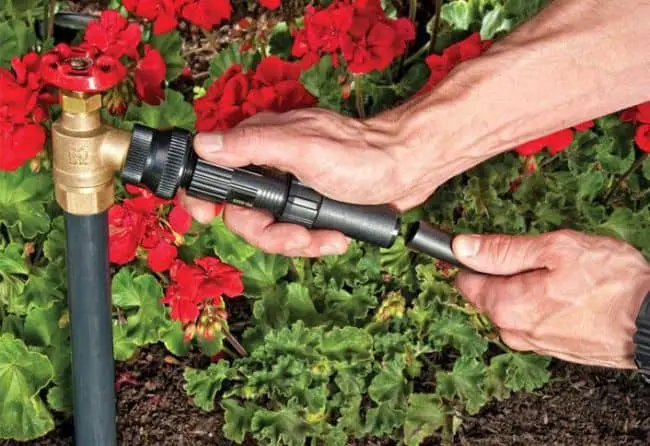 DIY Drip Irrigation for Containers