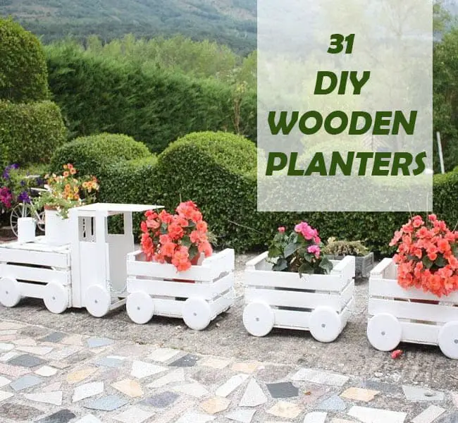 31 Stunning DIY Wooden Planters That You Will Love