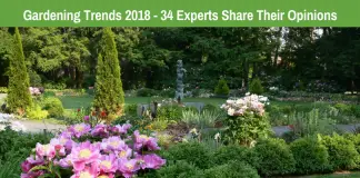 Gardening Tips and Advice | Gardenoid.com
