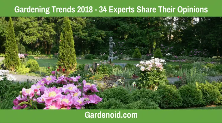 Gardening Trends 2018 – 34 Experts Share Their Opinions