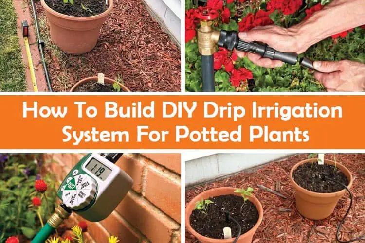How To Build DIY Drip Irrigation System For Potted Plants