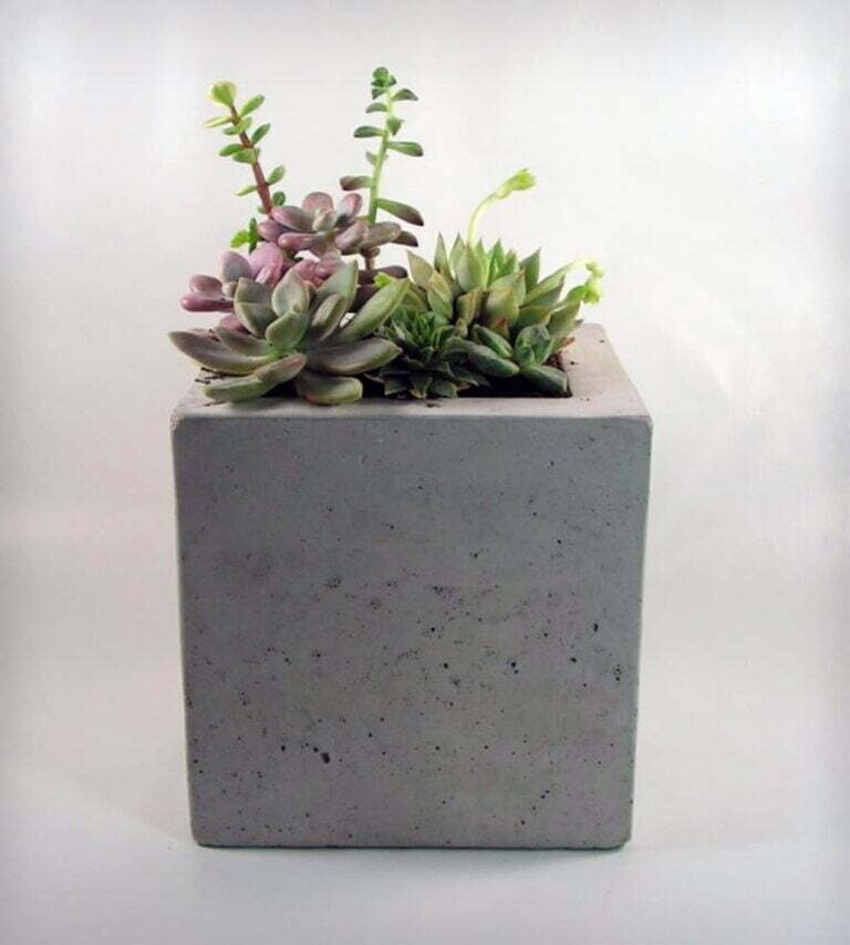 How To Make Cement Planters: DIY Concrete Planters – Gardenoid