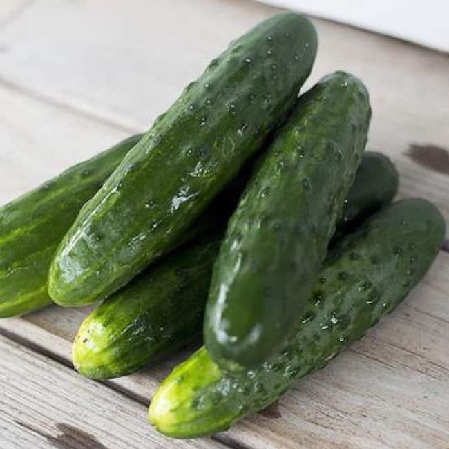 35 Best Cucumber Varieties You Can Grow At Home Gardenoid