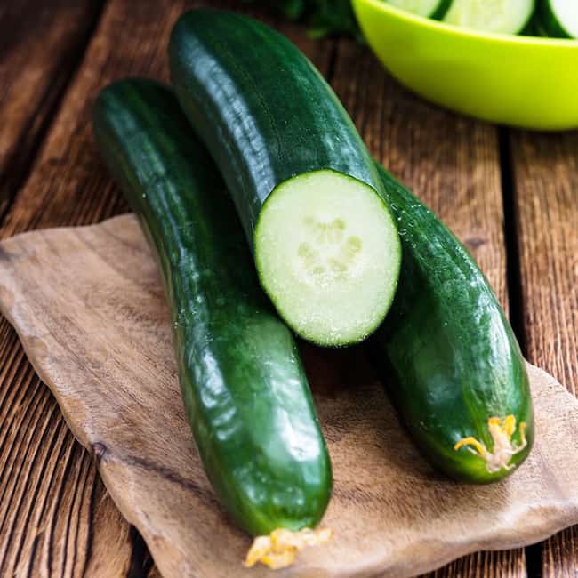 burpless cucumber plant