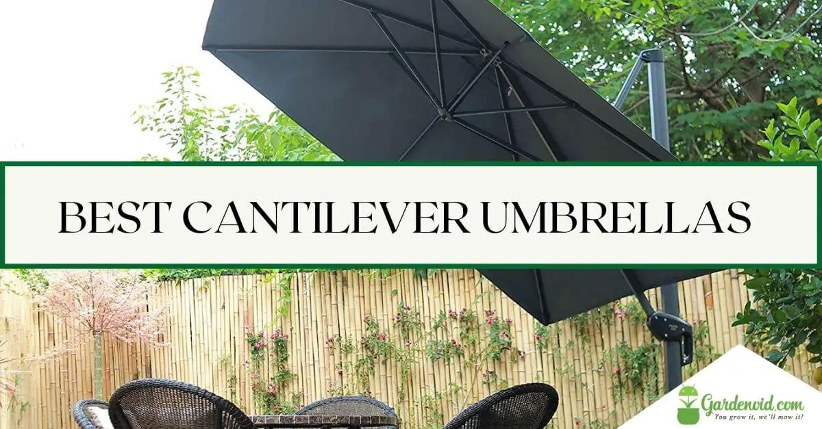 9 Best Cantilever Umbrellas Buyer's Guide and Reviews for 2023