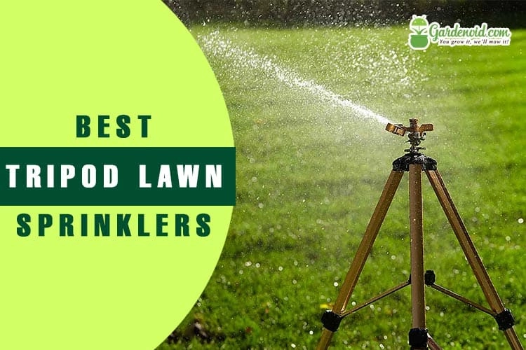 7 Best Tripod Sprinklers to Buy in 2023
