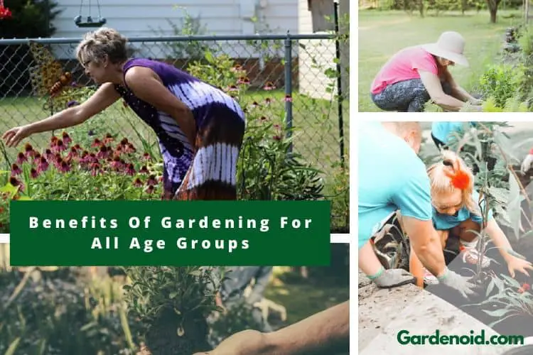 Why is Gardening Good for You? Benefits of Gardening for all Age Groups