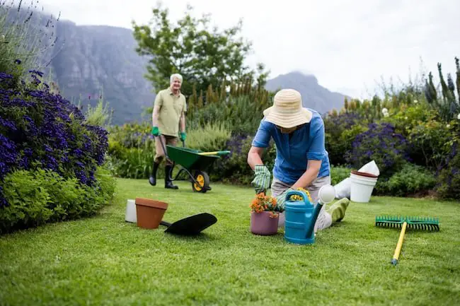 Benefits of Gardening for Seniors