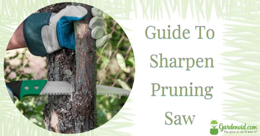 Ultimate Guide To Sharpen Pruning Saw With Safety Gardenoid