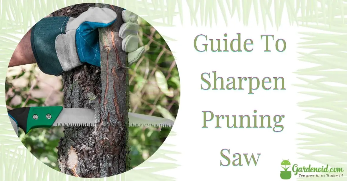 Sharpen Pruning Saw