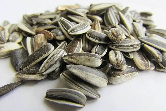 Types Of Sunflower Seeds
