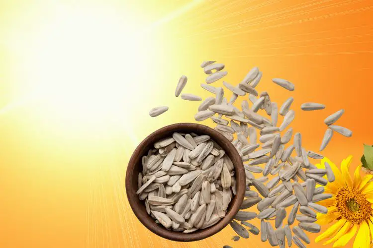 How to Shell Sunflower Seeds Quickly?